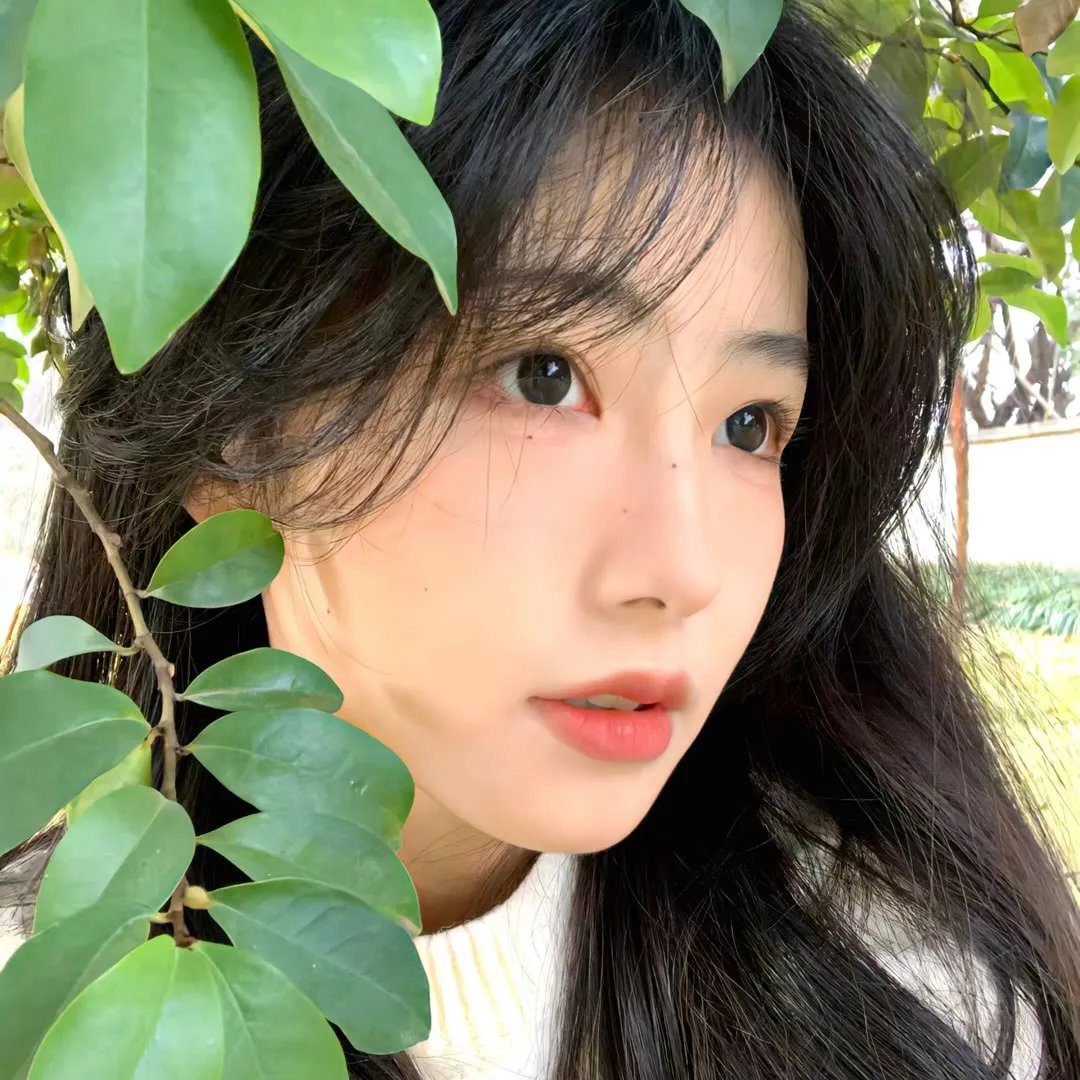 月光光心慌慌·杀清光